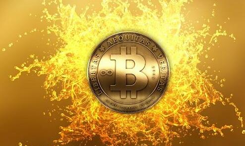 比特币交易平台倒闭了我的比特币怎么办