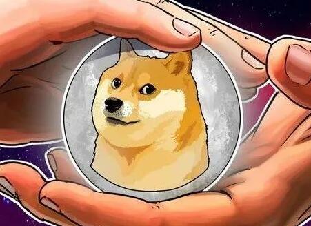 狗狗币如何提现到钱包，支持狗狗币的冷钱包