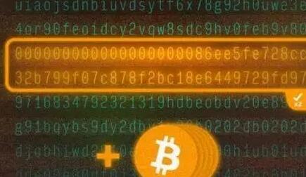 mxc是什么币种，mxc币是骗局吗