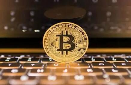 dogeking官网，狗狗币官网