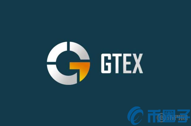 2022GTEX币值多少人民币，有什么价值GTEX币简介及未来投资价值点评