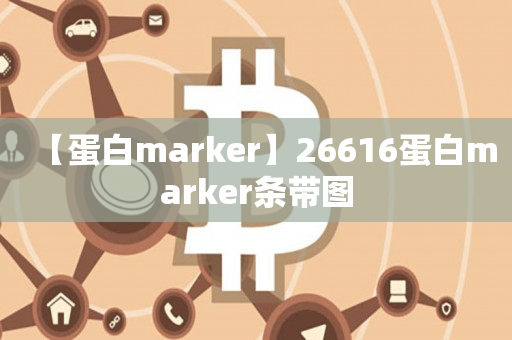 【蛋白marker】26616蛋白marker条带图