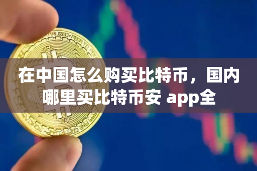 在中国怎么购买比特币，国内哪里买比特币安 app全