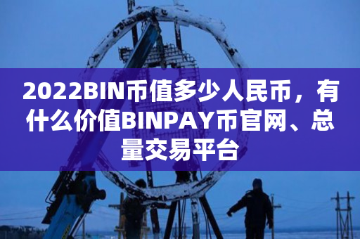 2022BIN币值多少人民币，有什么价值BINPAY币官网、总量交易平台