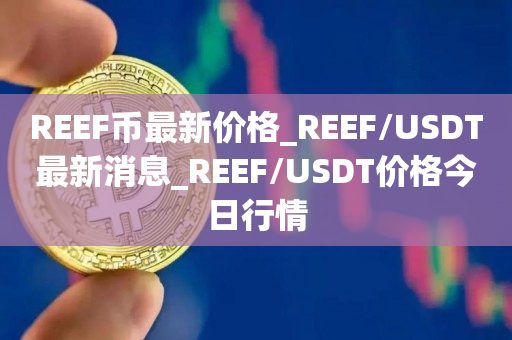 REEF币最新价格_REEF/USDT最新消息_REEF/USDT价格今日行情