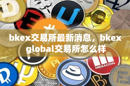 bkex交易所最新消息，bkex global交易所怎么样
