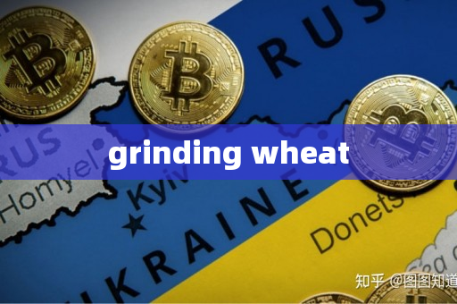 grinding wheat