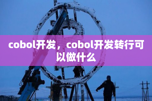 cobol开发，cobol开发转行可以做什么