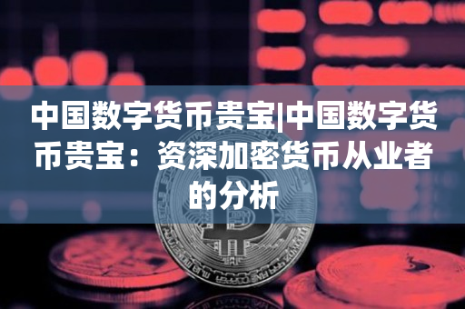 中国数字货币贵宝|中国数字货币贵宝：资深加密货币从业者的分析