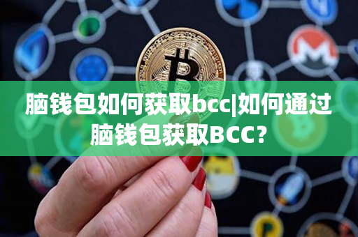 脑钱包如何获取bcc|如何通过脑钱包获取BCC？