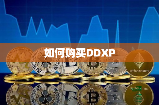 如何购买DDXP