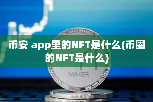 币安 app里的NFT是什么(币圈的NFT是什么)