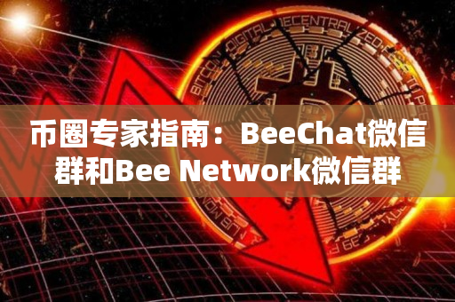 币圈专家指南：BeeChat微信群和Bee Network微信群