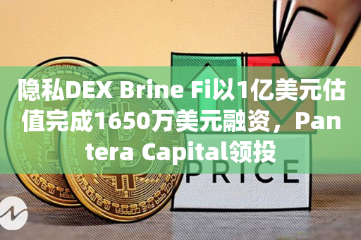 隐私DEX Brine Fi以1亿美元估值完成1650万美元融资，Pantera Capital领投