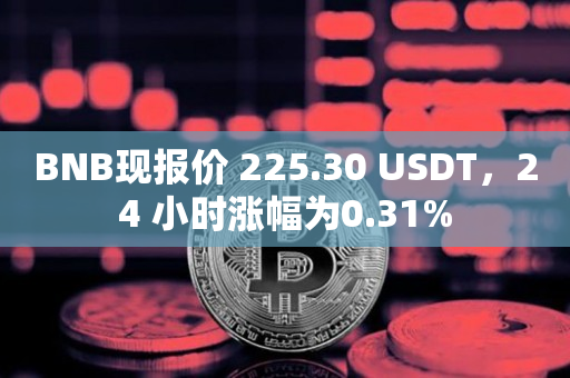 BNB现报价 225.30 USDT，24 小时涨幅为0.31%