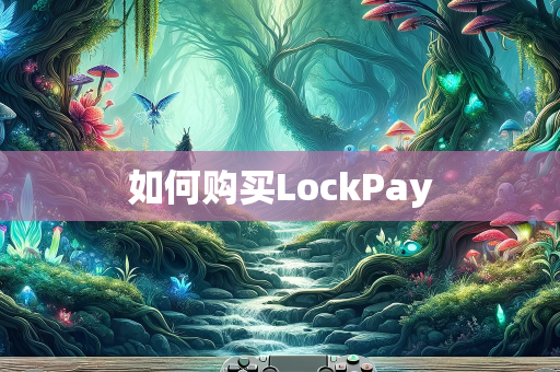 如何购买LockPay