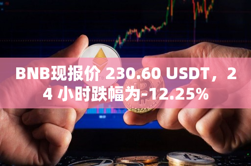 BNB现报价 230.60 USDT，24 小时跌幅为-12.25%