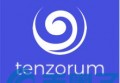 2022TENZ币是什么，有什么价值Tenzorum、官网团队