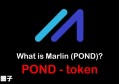 2022POND币值多少人民币，有什么价值POND币前景价值深度分析
