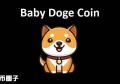 2022BABYDOGE币在哪里买，有什么价值宝贝狗币上线交易所大盘点