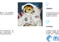 2022太空狗DOGZ币值多少人民币，有什么价值DOGZ币交易平台