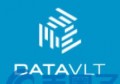 Datavlt是什么，有什么价值DVT官网、团队