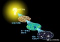 超元宇宙和多元宇宙，在多元宇宙中生命的形式和可能性是怎样的