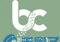 Bettex Coin是什么，有什么价值BTXC币交易平台