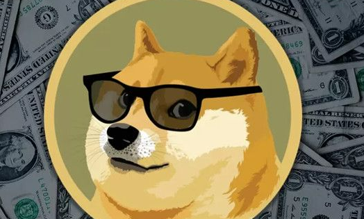 新手怎么买狗狗币，中国购买狗狗币的平台