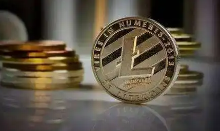 2022国内莱特币挖矿教程，高配个人苹果电脑怎么挖矿莱特币【步骤3】