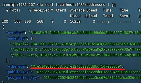2022国内莱特币挖矿教程，高配个人苹果电脑怎么挖矿莱特币【步骤4】