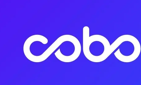 10大中文界面比特币钱包下载【cobo钱包】